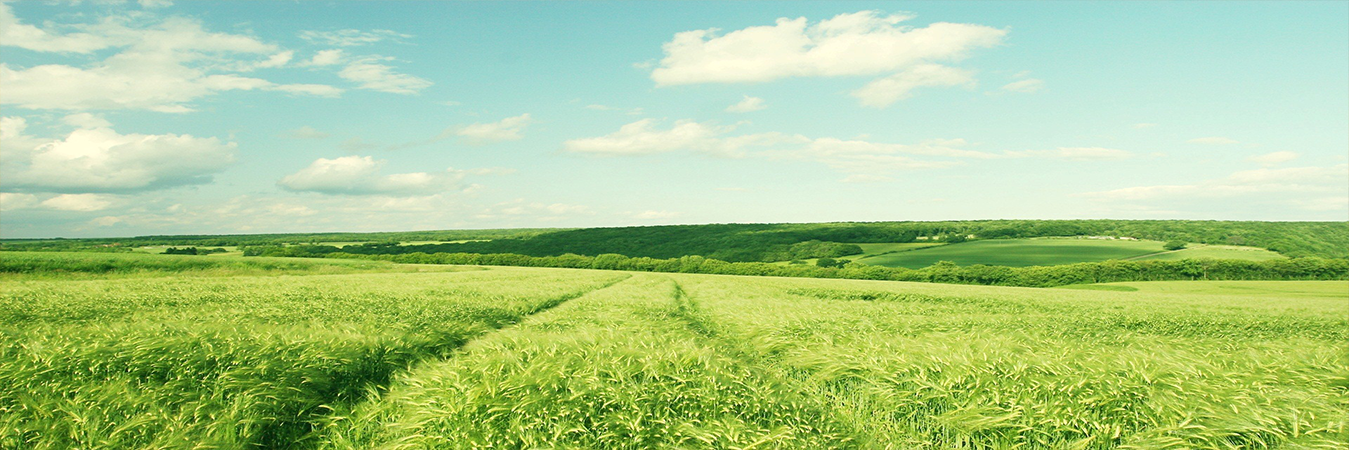 گروه تولیدی آذرالماس